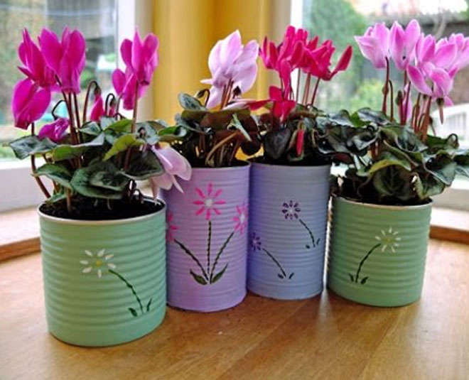 keep the plants fresh in changing season inside 