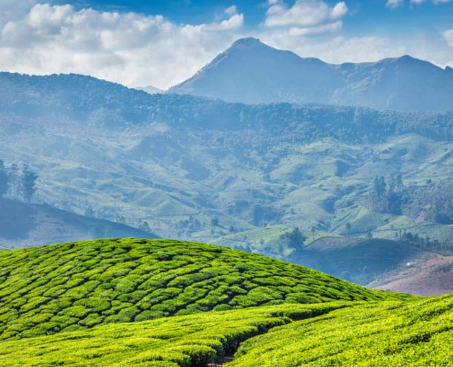 munnar