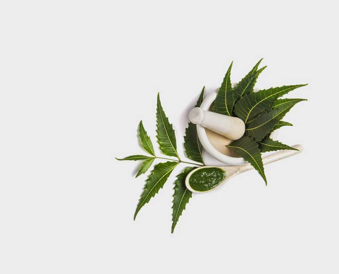 neem for skin whitening inside 