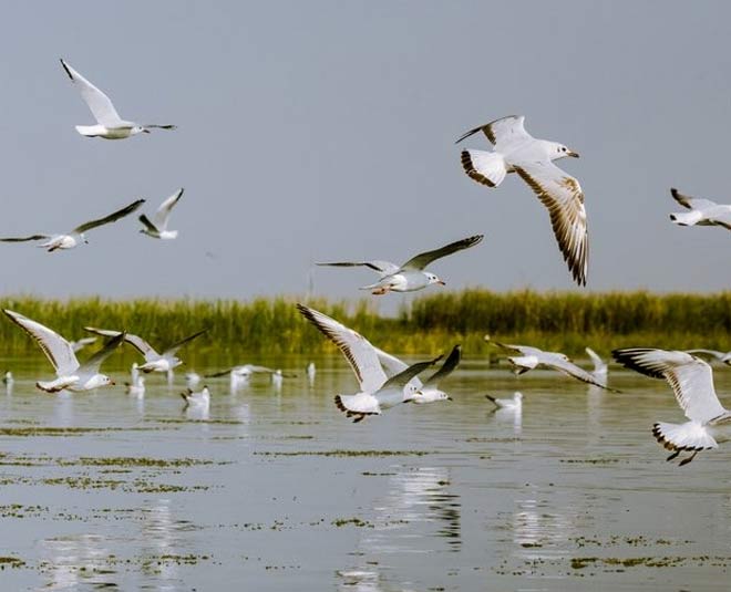 places to visit in diveagar maharashtra inside 