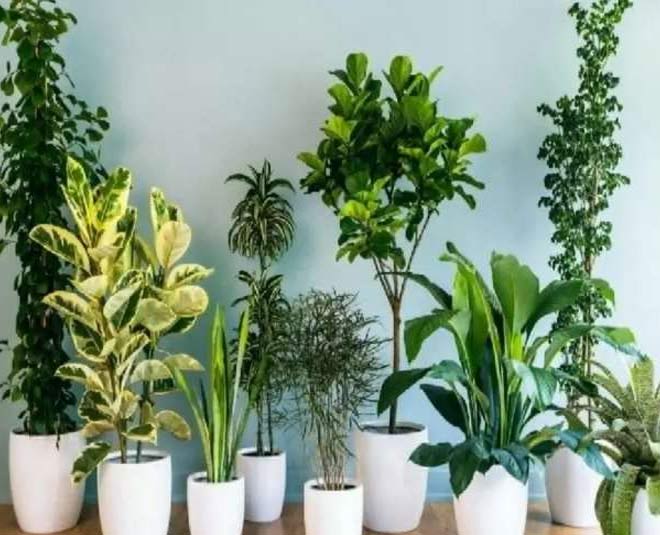 remove smoke smell from kitchen inside 