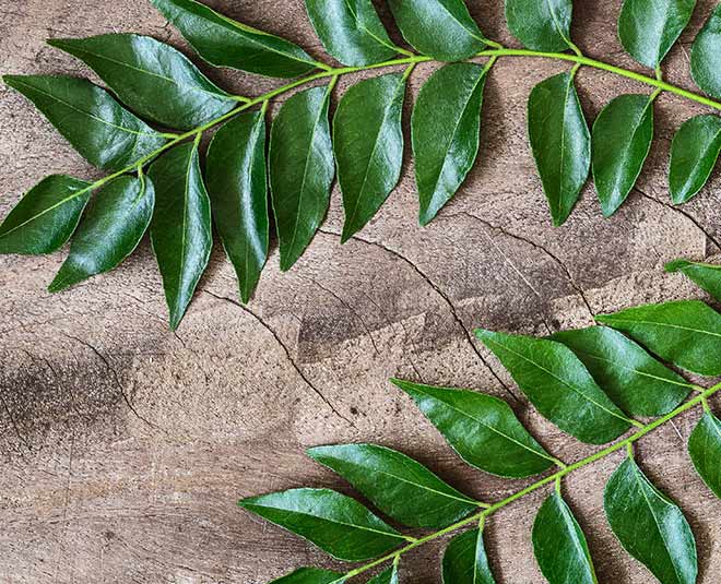swati bathwal curry leaves