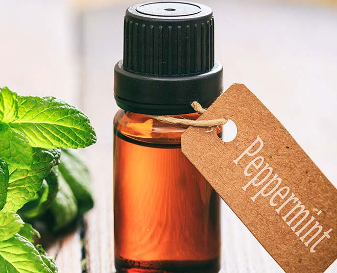 tips to remove spiders and spider web from home inside 