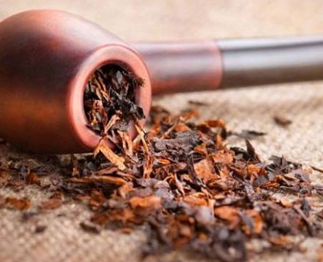 tips to remove spiders and spider web from home tambaku inside 