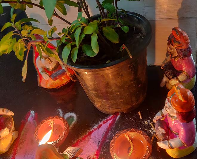 tulsi pujan vidhi