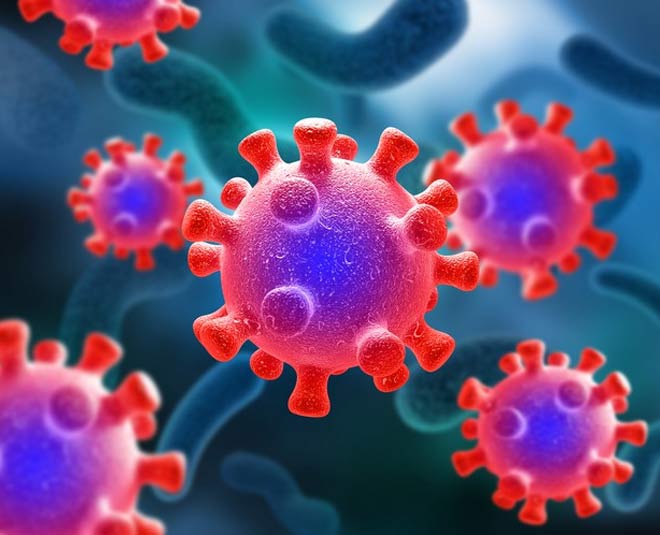 yam for cancer inside 