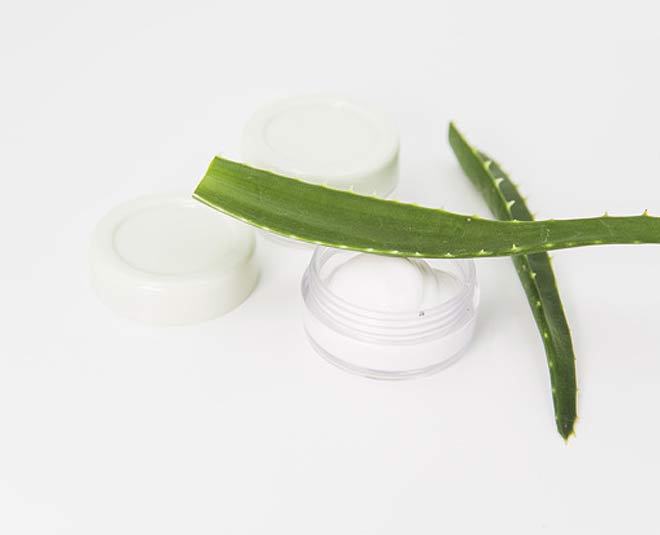 aloe vera face and body moisturizer inside 