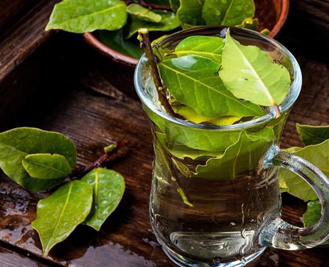 Expert Tips Bay Leaf Tea Benefits