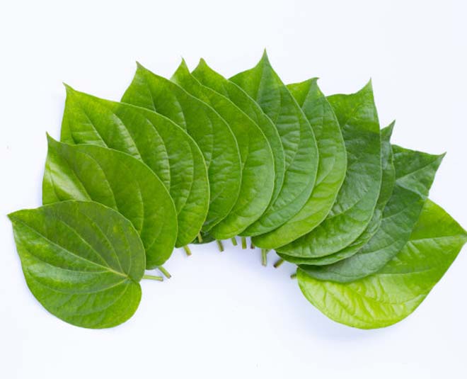 सुपारी का पत्ता betel leaves for skin inside