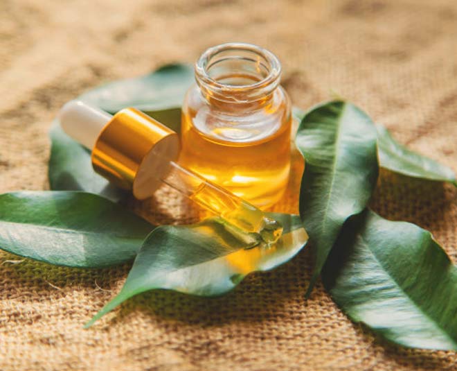 3 Amazing Home Remedies To Remove Blackheads With The Use Of Tea Tree