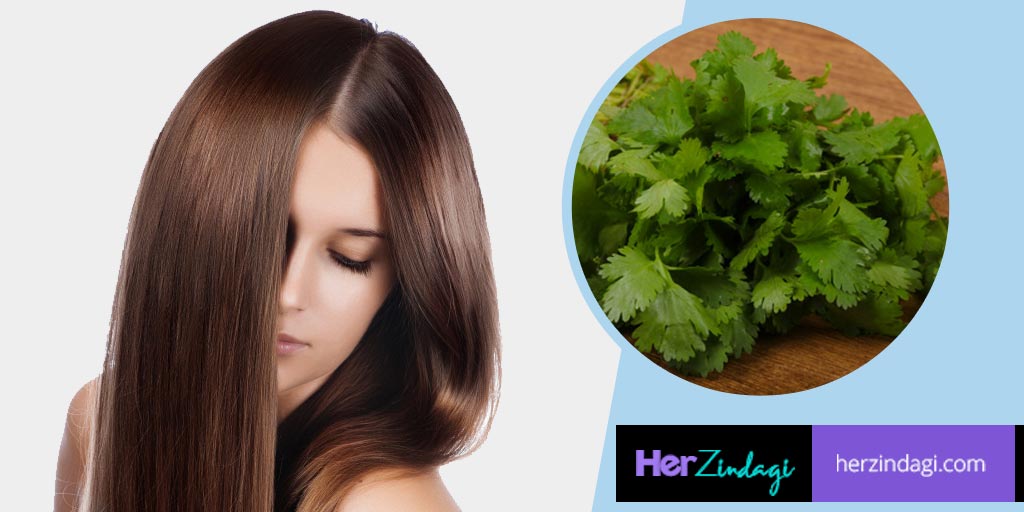 How To Use Coriander To Enhance The Beauty Of Hair In HindiDIY बालों