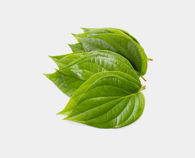 eaten betel leaf