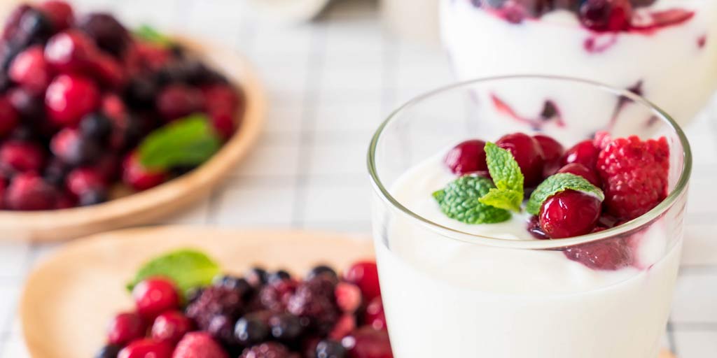 Here Is Why You Should Add A Bowl Of Greek Yogurt To Your Everyday Diet