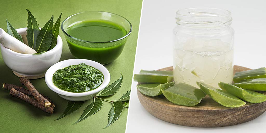 Neem And Aloe Vera Juice Benefits For Weight Loss And Glowing Skin In