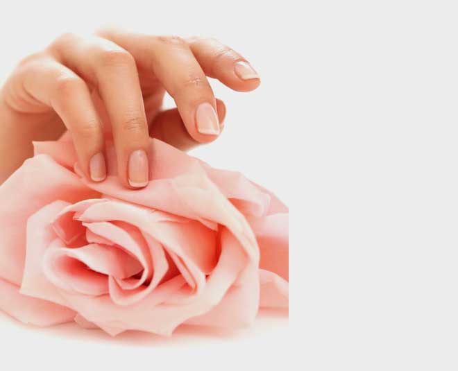 rose oil for nails and skin