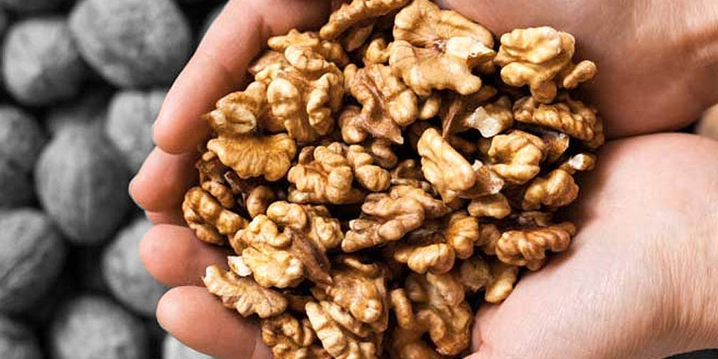 Expert Shares Benefits Of Eating Soaked Walnuts Helps In Weight Loss