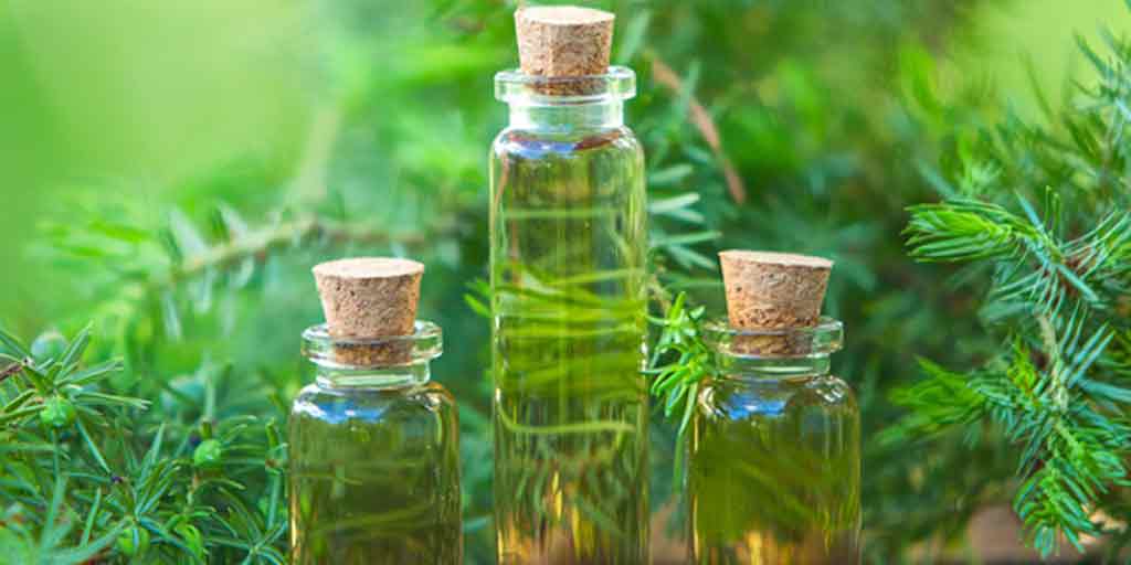 The Benefits Of Tea Tree Oil For Hair And Scalp