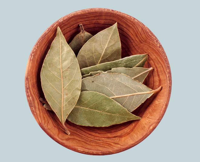 tej patta benefits INSIDE 