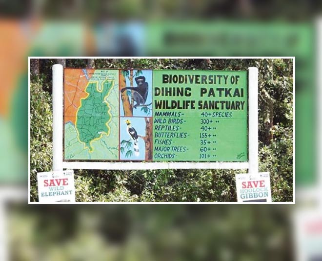 tourist places in dibrugarh assam wildfife inside 