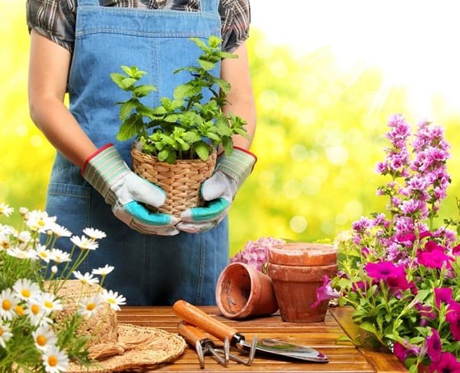 while doing gardening for first time inside 