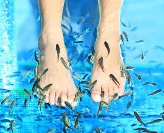 Try The Fish Spa And Help Yourself With These Benefits