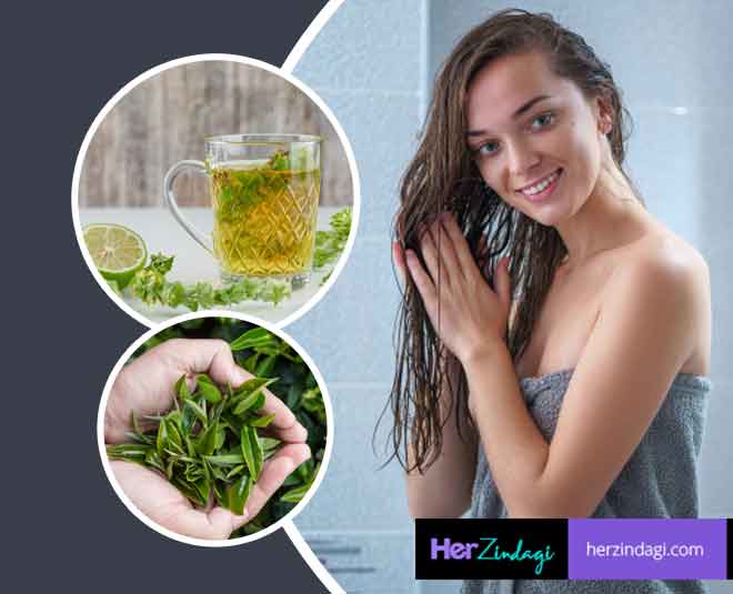 Green Tea For Hair: Know Noteworthy Properties And A Simple Hair Rinsing  Recipe | HerZindagi