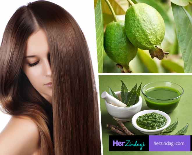 Use Guava Leaves Hair Mask To Provide MuchNeeded Nourishment To Your Mane   HerZindagi