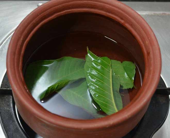 Guava Leaf for Hair Benefits  How to Use