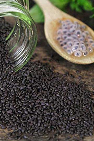 Here Are Some Reasons To Add Basil Seeds To Your Diet HerZindagi