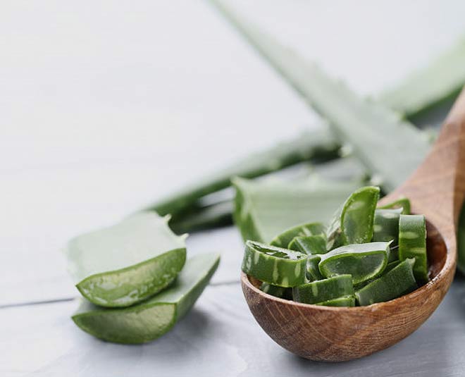 एलोवेरा जैल aloe vera for dark circle