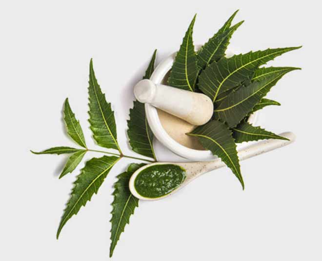 anti dandruff shampoo ingredients 