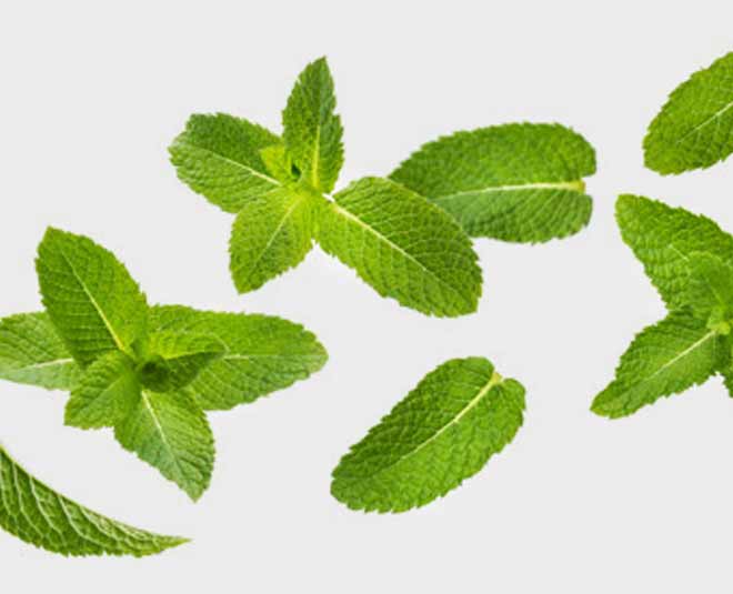 anti dandruff shampoo ingredients 