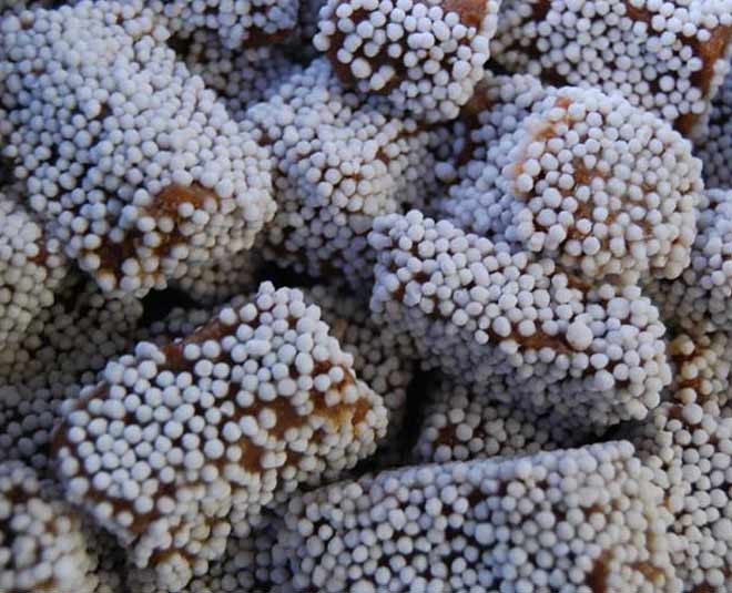 famous sweets from across indian states inside