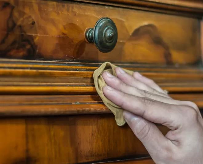 furnitre and termite