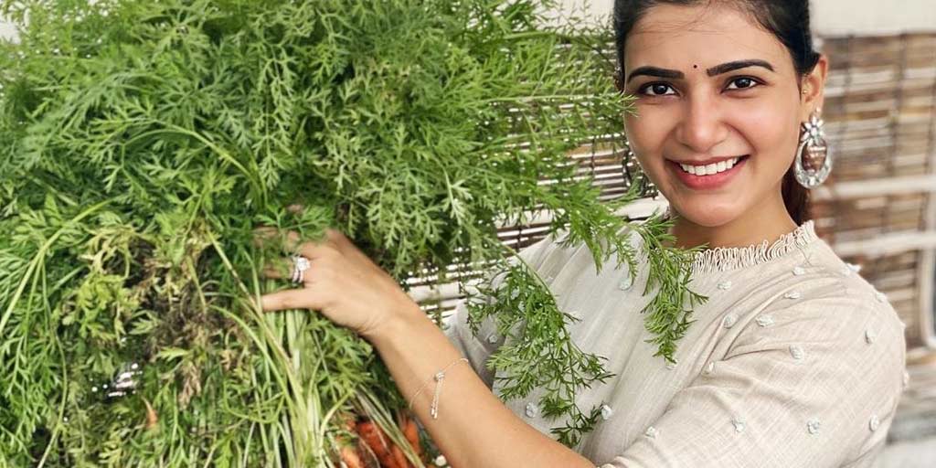 Use Expired Milk To Grow Healthy Plants Like Samantha Akkineni