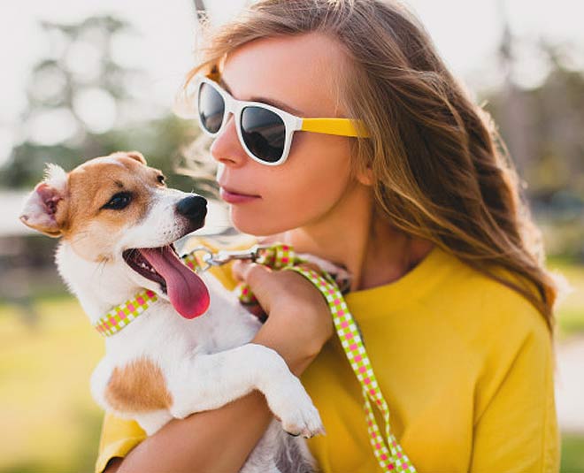 how to keep dogs healthy 