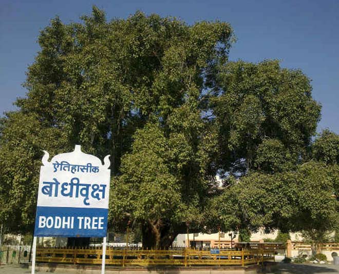 place visit in gaya district in bihar inside 