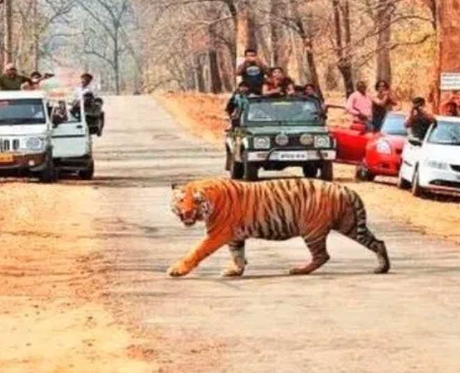 visit chikhaldara in maharashtra inside