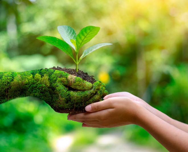 Ecofriendly in nature