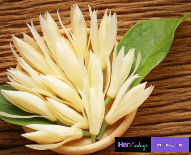 Flowers That flowers-that