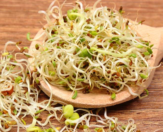alfalfa health benefits inside 