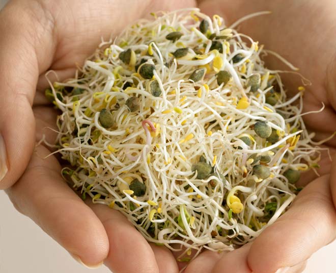 alfalfa health benefits inside 