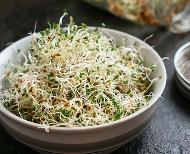 alfalfa health benefits inside 