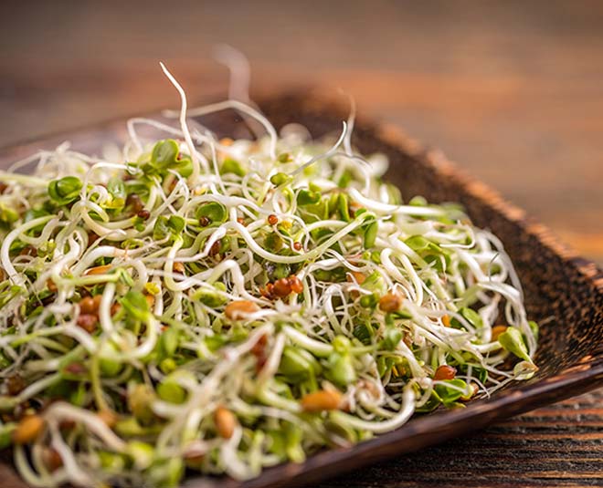 alfalfa health benefits know inside 