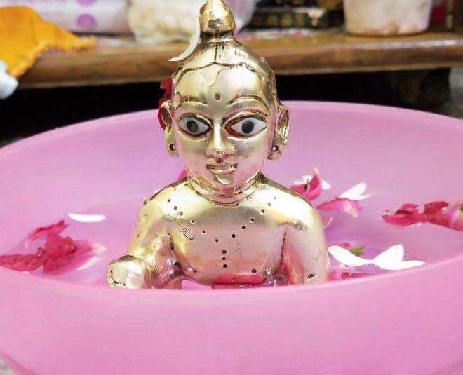 daily routine of laddu gopal