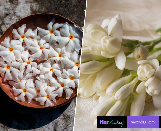 Flowers That Bring Good Luck At Home Flowers That Bring Good Luck At Home