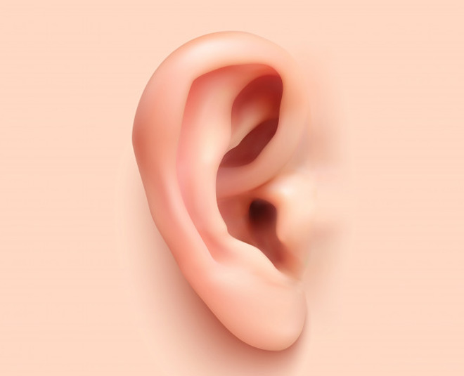 four senses ears inside 