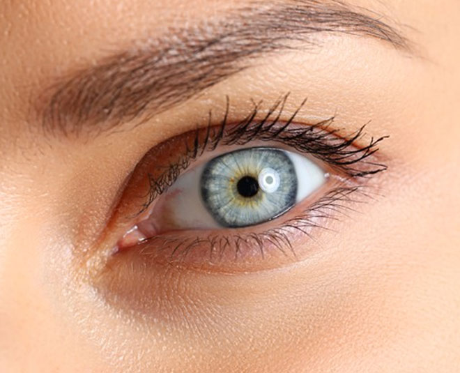 four senses eyes inside 