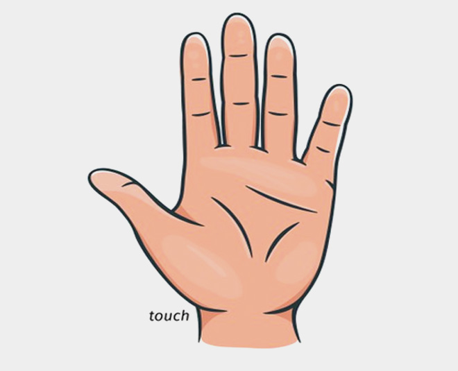 four senses skin inside 