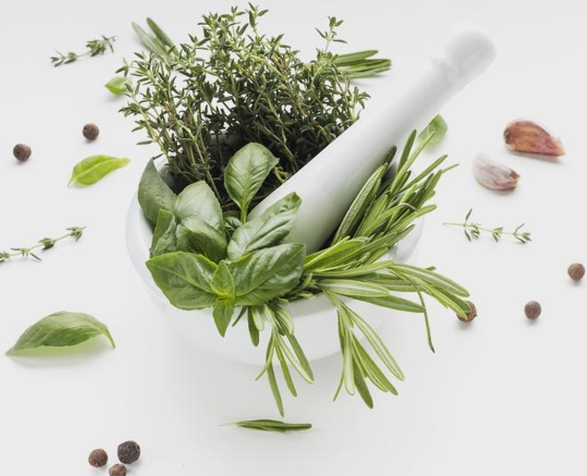 फ़्रेश सब्ज़ी और हर्ब fresh herbs